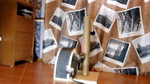 Как приучить котенка к когтеточке?  Когтеточка для котов игрушка!