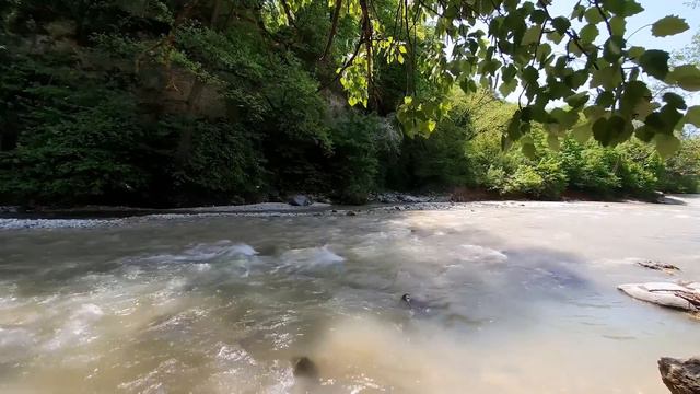 Пьяный выродок занес руку над бедной девушкой, но вдруг из леса выскочила рысь! смотреть онлайн