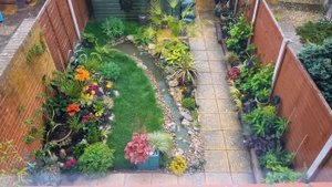 Tropical garden design & build - 4 years in 5 minutes