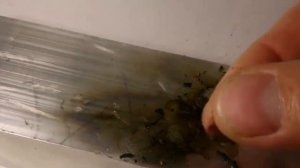 Тест на горение, и сравнение стоимости литьевых фотополимеров