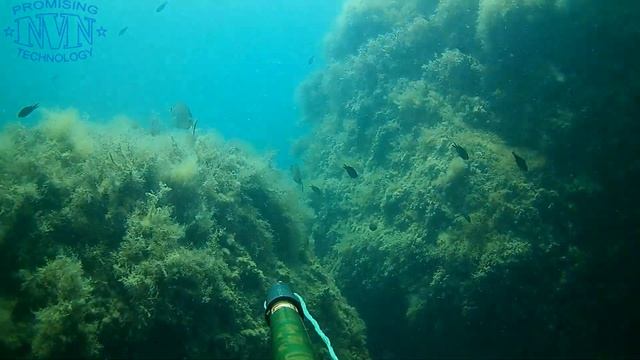 Система Хука .