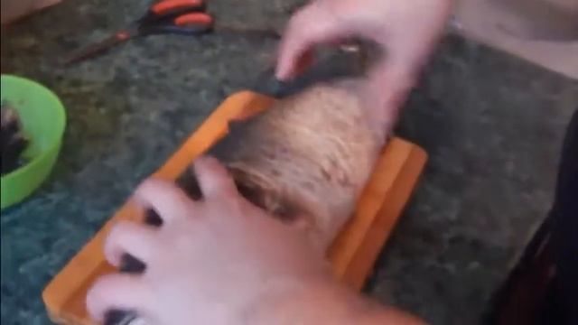 КАК очистить и разделать толстолоба смотреть онлайн