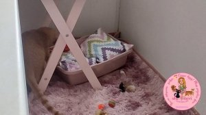 Каждый по своему наводит порядок в доме ?