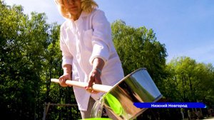 Пляжи и зоны отдыха проверяют в нижегородской столице