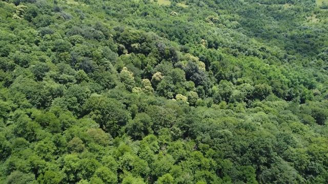 Тур по Грузии на дроне: от Аджарии до Кахетии смотреть онлайн