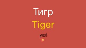 Тигр по-английски