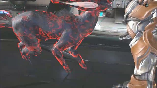 COMO TENER UN KAVAT VASTA /gato vampiro - warframe en español смотреть онлайн