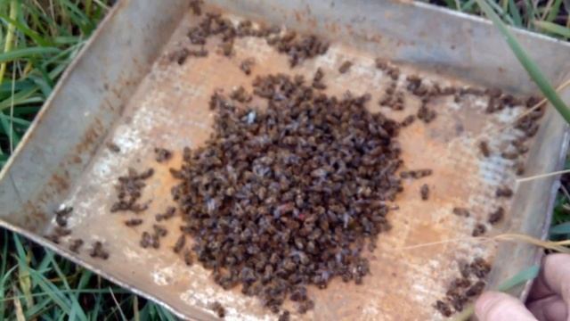 Омоложение кожи лица. Крем для лица от морщин Здоров.