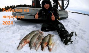 Расставил жерлицы и тут началось!!! Сработки на жерлицы одна за одной! Клевая рыбалка на реке Обь.