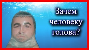 Зачем человеку голова?