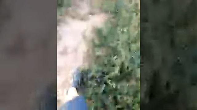 Скидываем гнилой арбуз смотреть онлайн