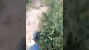 Скидываем гнилой арбуз