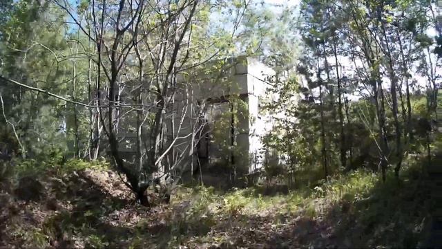 Прогулка по жерлу древнего вулкана. Николаевская сопка. Гремячая грива.