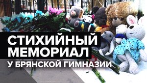 Обстановка около брянской гимназии через день после трагедии — видео