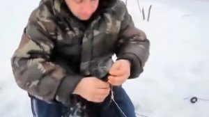 Снасть и наживка на налима.