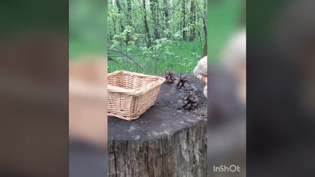 занятие по Фэмп."Прогулка в лесу" смотреть онлайн