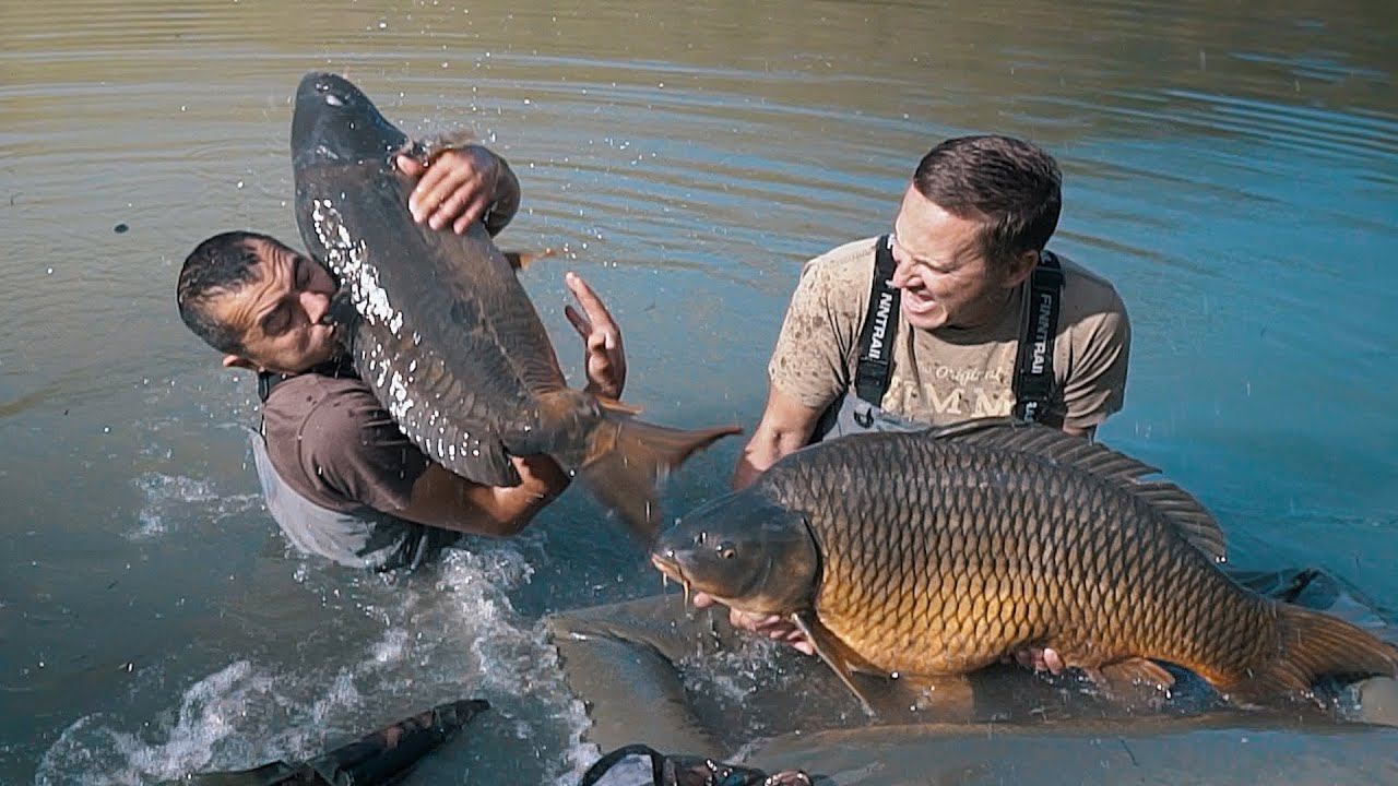 ШОК!!! Огромный карп сбежал во время съемок !!! КАРПЫ 21+ !!! смотреть онлайн