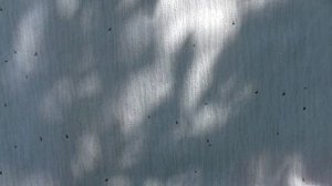 Ружьё МЦ 20-01. Бой различными номерами дроби