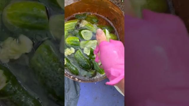 Куда девать огурцы когда их много ?? #огурцы #уходзасадом #огурчики смотреть онлайн