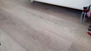 VID_20240605_153312.3gp