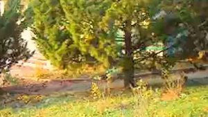 Поселок Аше, Лазаревское. Пансионат "Космос", Ленинградские корпуса