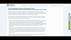 Отчет о движении средств и уведомление об открытии зарубежного брокерского счета. Инструкция