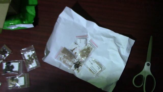 Выращивание деревьев из семян. Создаём ЛесоСад! Обзор посылки с Юга. смотреть онлайн