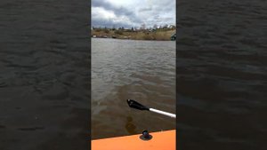 Роджер Зефир 4000 и Ямаха 9.9 (15) начало обкатки (р.Северная Двина)17.05.20
