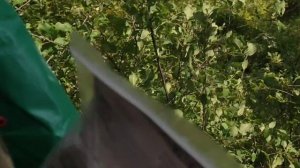 Соседи штурмуют.