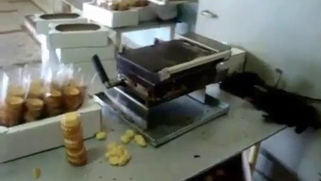 Видео работы печи электрической ПЭ 2 тарталетница смотреть онлайн