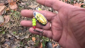 Встретил Серого на Рыбалке РЫБАЛКА НА БЛЕСНЫ