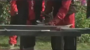 какие винтовые сваи для бани
