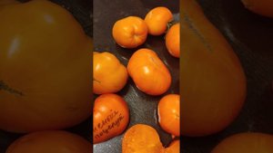 "ОГНЕННЫЙ поцелуй" в компании вкусняшек