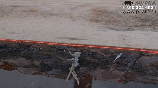 Купить кромкообрезной многопильный дисковый станок проходного типа pilam.ru смотреть онлайн