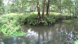 Ловля щуки на живца на микро - речке.