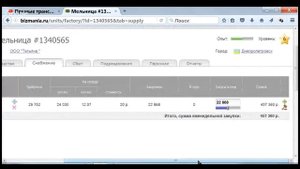 Обзор симулятора Бизнес-Мания