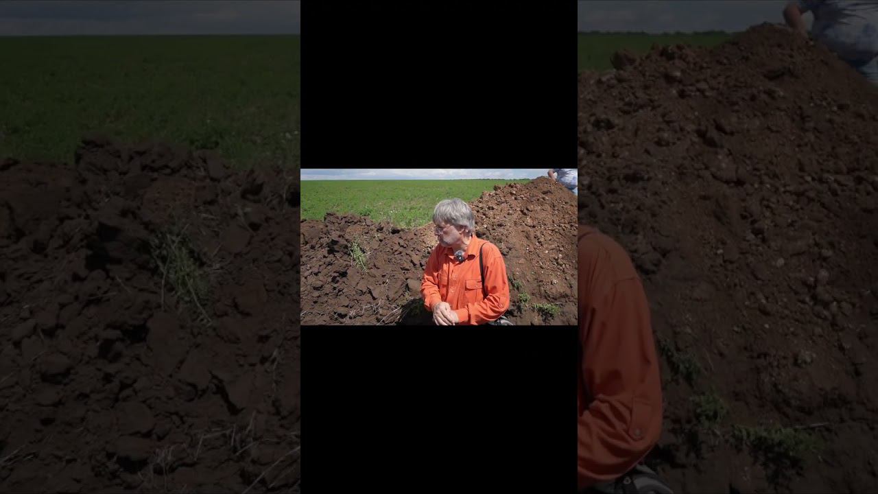 Восстановление почвы на технологии no-till #точноеземледелие #сельскоехозяйство #farming #notill