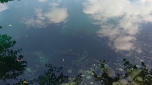 Голубые озера