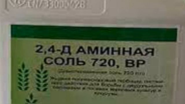 Надежное опыление томатов.  Фермерский способ