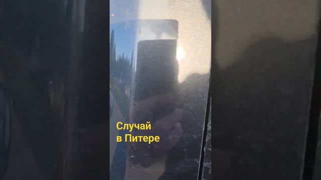 Джек-рассэл & русские псовые борзые смотреть онлайн