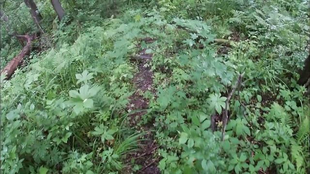 Сделали навес над крыльцом  посыпали кормушки