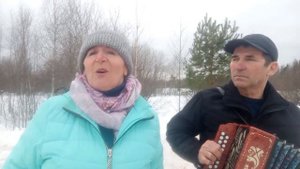 ❄️Снег летит!❄️❤️Кавер под гармонь!🪗 #песниподгармонь