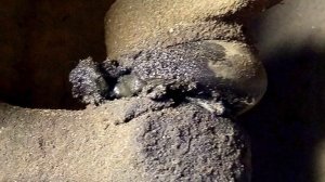 Стук в подвеске автомобиля при трогании с места. Проверка рулевого наконечника