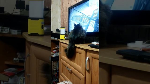 не спит охрана