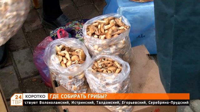 Где собирать грибы? смотреть онлайн