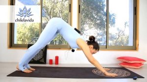 ПРОГИБЫ | ЙОГА ДЛЯ СПИНЫ | Виньяса Йога Дома | Занятия Йогой | Йога chilelavida