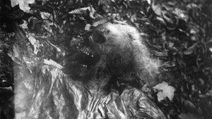 Virgil Fox - Bach - Come sweet death