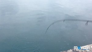 Рыбалка в Севастополе.Зима.