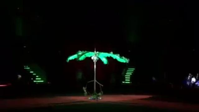 Цирк Олега КОНОНОВА "АНШЛАГ".Кусочек аттракциона обезьян). смотреть онлайн