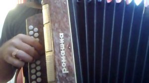 Гармонь Ромашка, Гарантия.